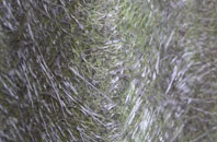 Stonequarry fibreglass roof work